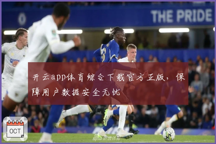 开云app体育综合下载官方正版,保障用户数据安全无忧
