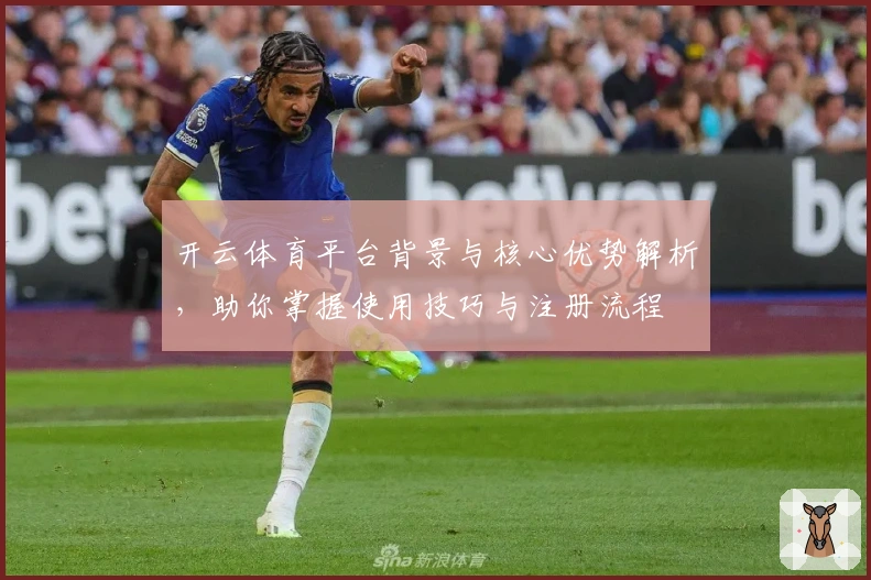 开云体育平台背景与核心优势解析，助你掌握使用技巧与注册流程