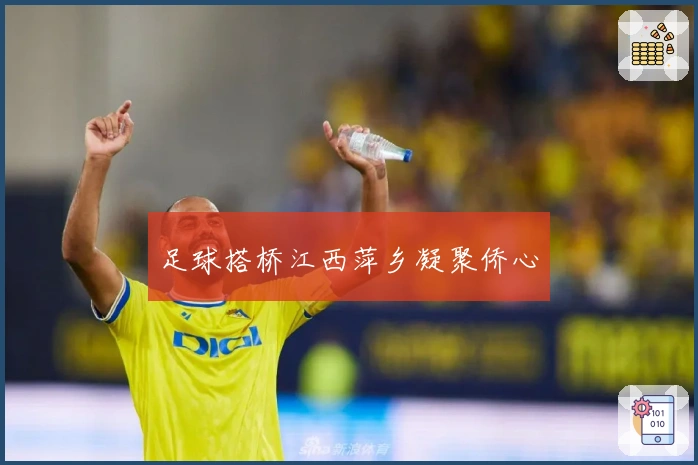 足球搭桥江西萍乡凝聚侨心